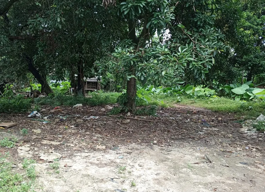 Dijual Cepat Tanah Kebon Area Ciganjur Jakarta Selatan photo 3