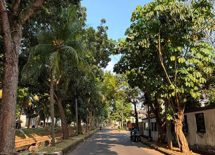 DIJUAL TANAH Bintaro Jaya Sektor VI, Tangerang Selatan photo 2