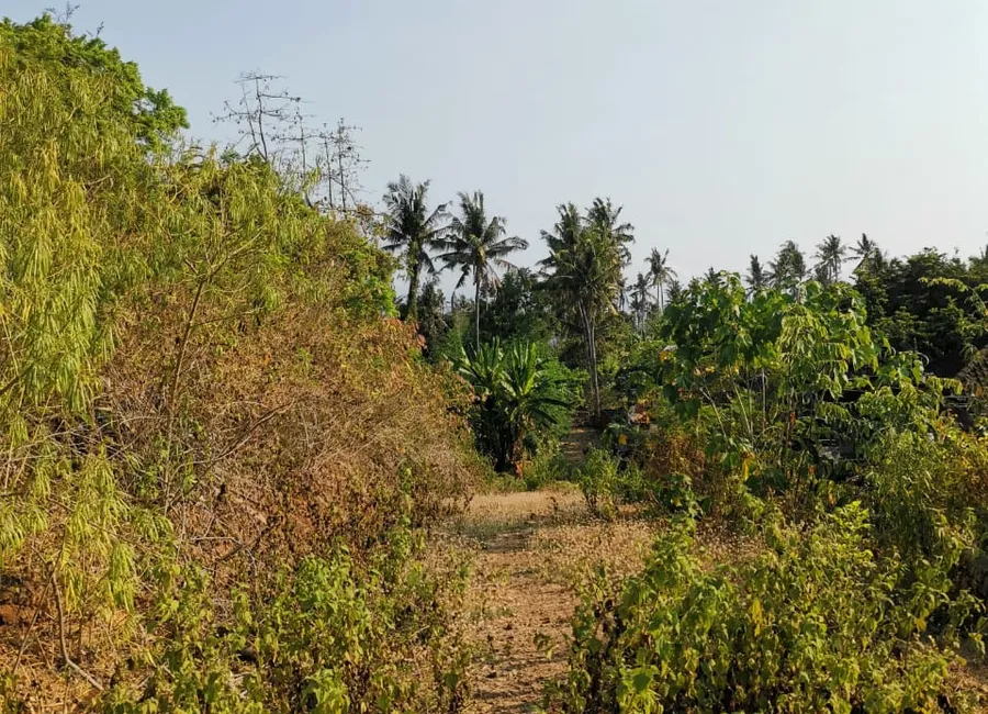 Dijual atau Sewakan Tanah Lokasi Startegis Pinggir Pantai di Bali photo 4