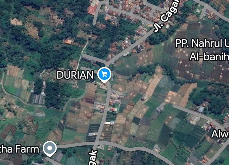 DIJUAL TANAH PREMIUM CIATER â JALAN CAGAK, SUBANG photo 2