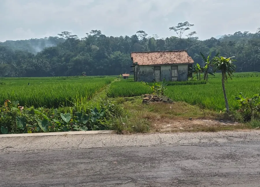 Dijual Cepat Tanah Siap Pakai Dekat Jalan Besar Di Rancamaya photo 3