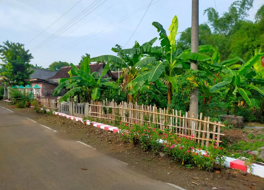 Dijamin murah! Bayarnya pun masih pakai Rupiah! photo 4