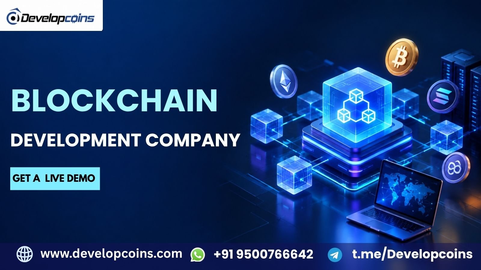 Build Enterprise-Ready Web3 Solutions for USA Businesses with Blockchain Development photo 1