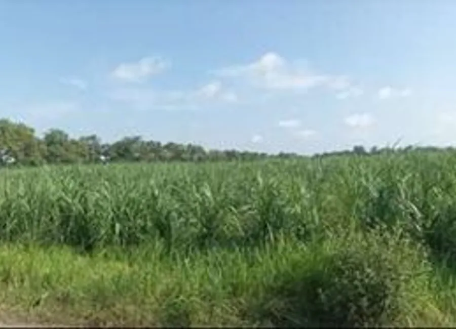 Dijual Via Lelang Tanah Kosong Jalan Raya Ds. Balongbendo Kec. Balongbendo Kab. Sidoarjo