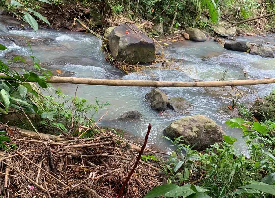 dijual atau disewakan tanah di wanagiri kauh tabanan bali photo 2
